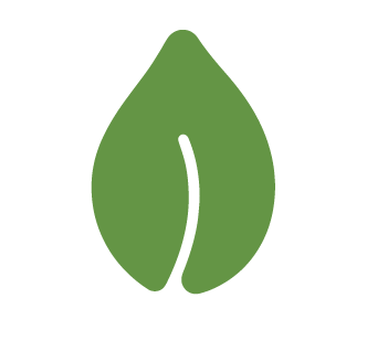 Vegetariano